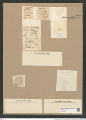 Coscinodiscus apollinis Ehr. (de-Toni-Nr.: Genus 202, Species 5096) Zeichnungen Sammlung Grunow Nr. 8855 (NHMW-BOT-W0378485)